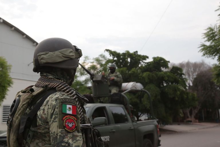 SSP, Sedena y GN aseguran 20 artefactos explosivos, en Apatzingán