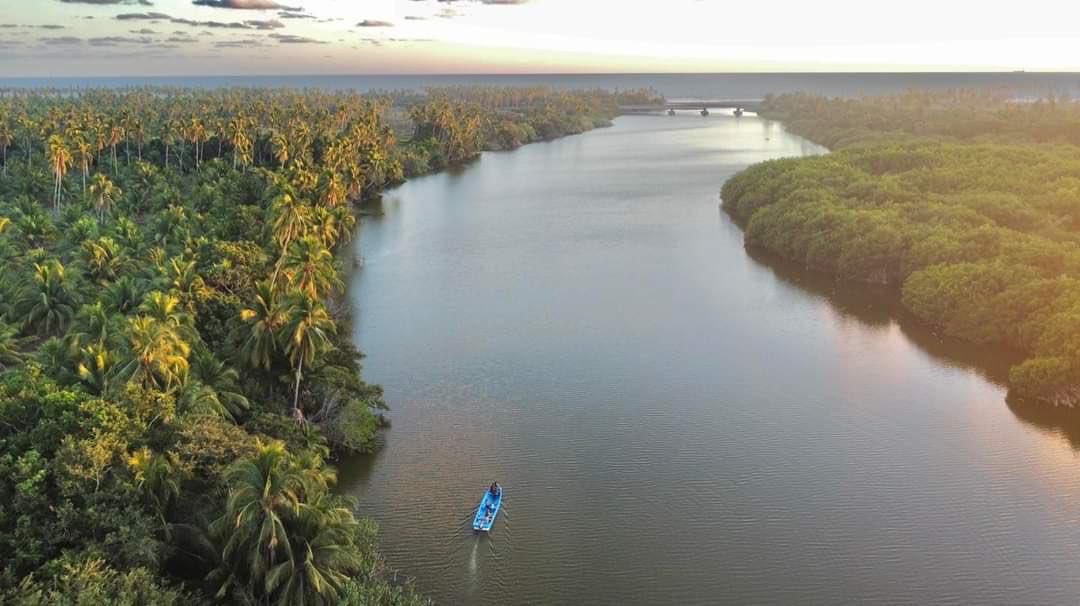 manglar