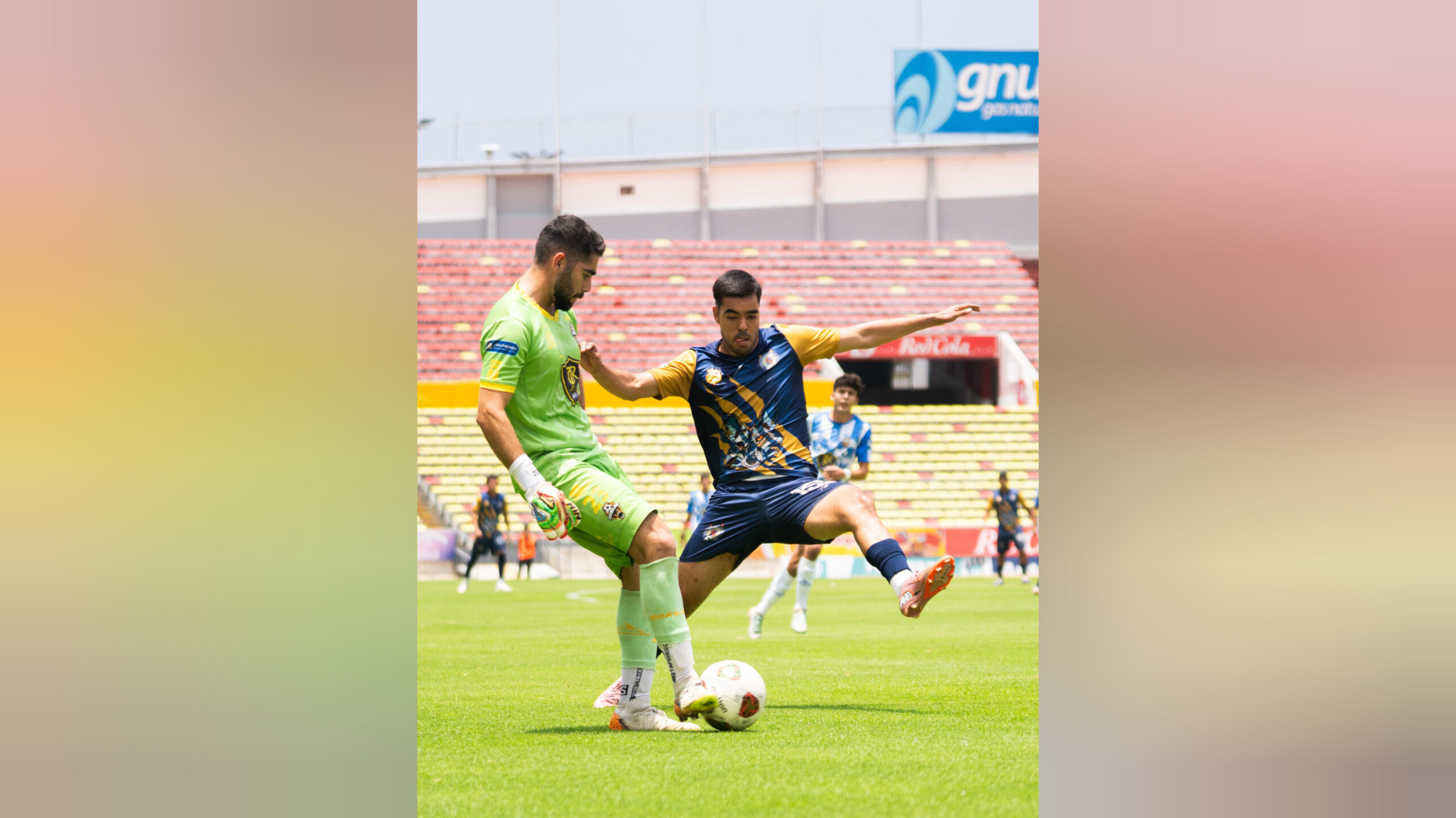 InShot_20260524_163046020